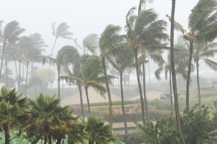 .tempesta tropicale