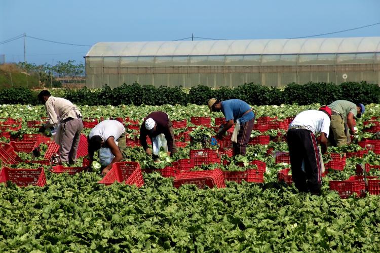 .lavoro