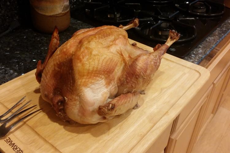 thanksgiving turkey