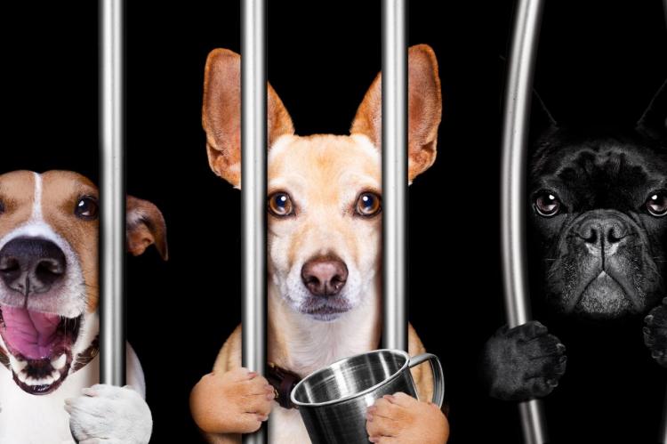 .in jail