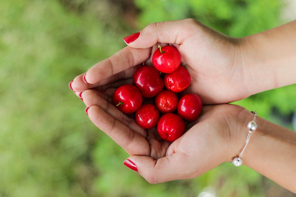 cherries-1082136_960_720