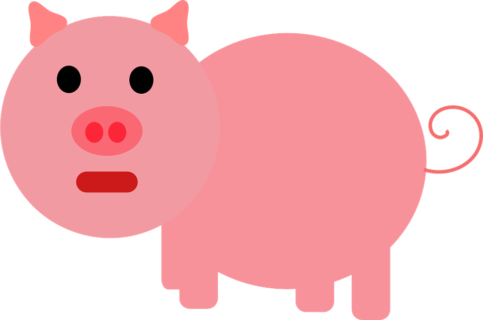 pig-29252_960_720