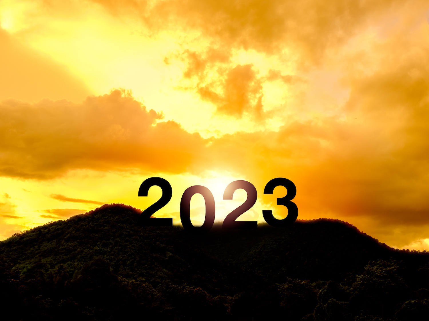 .alba 2023