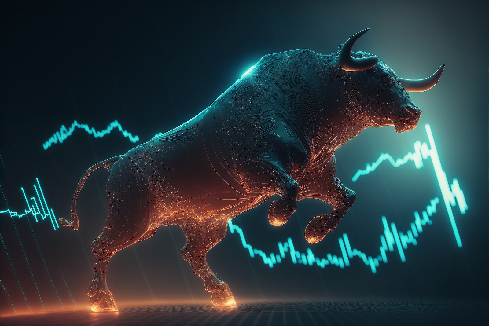 .bull market