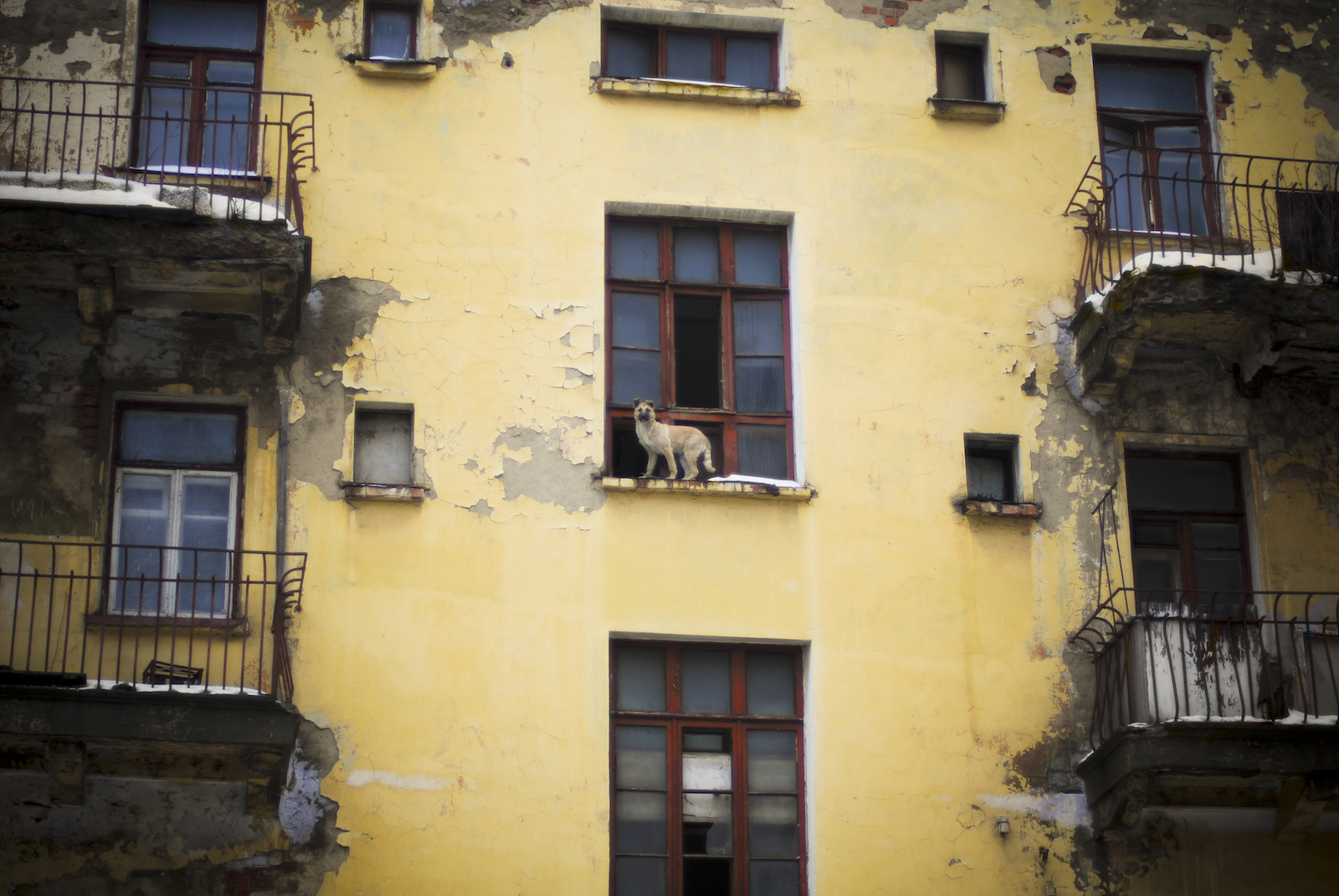 .casa scricchiolante