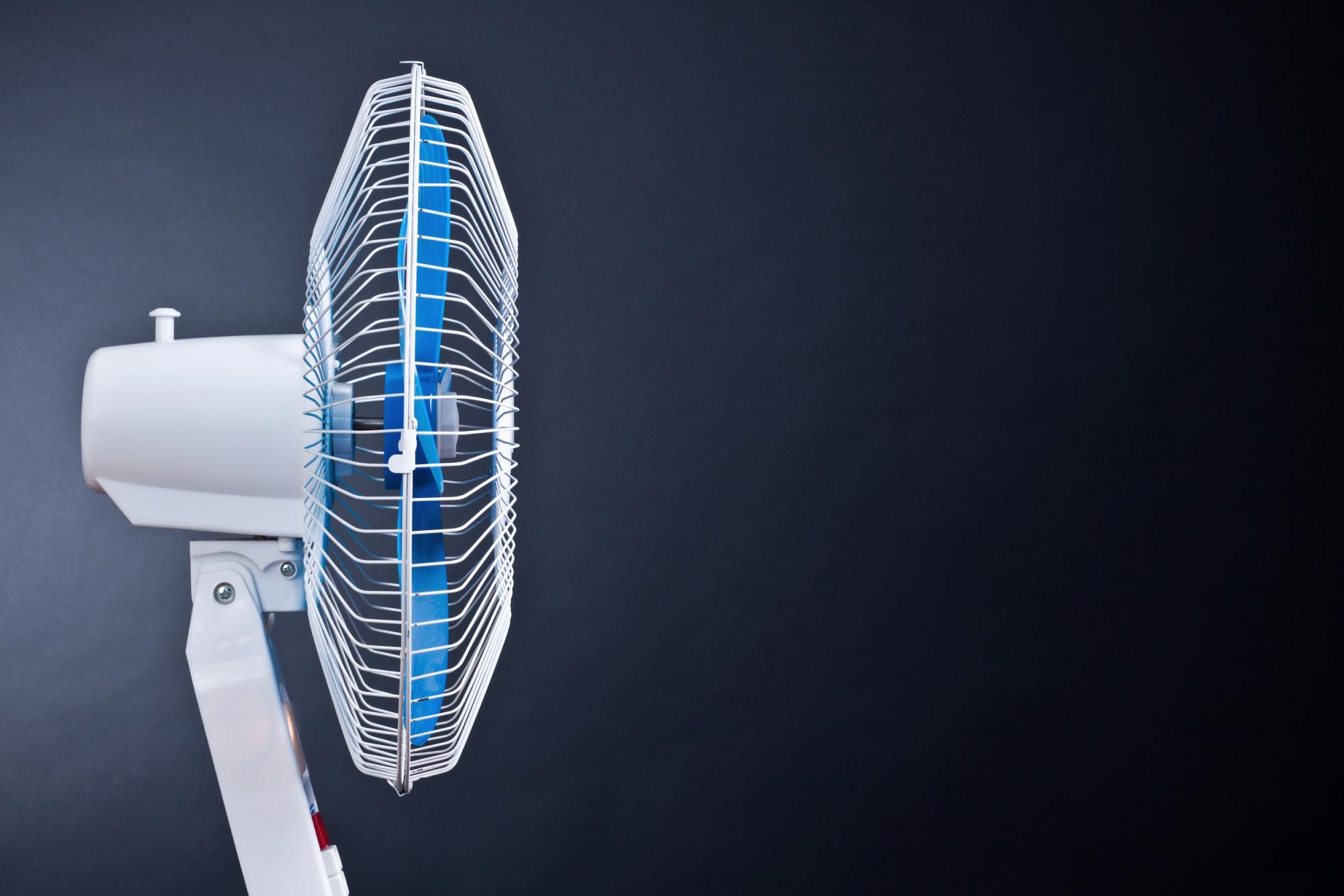 .fan