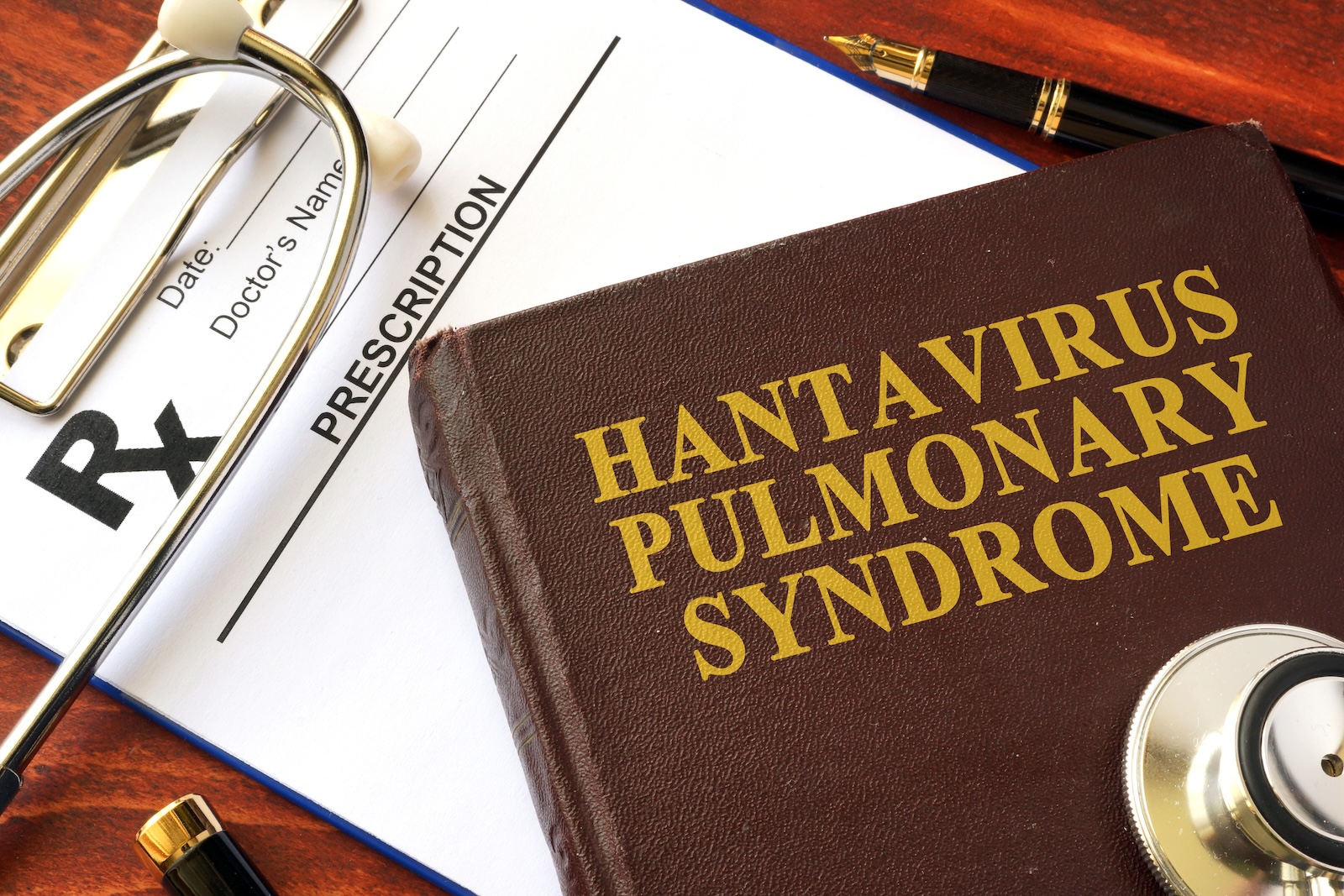 .hanhtavirus