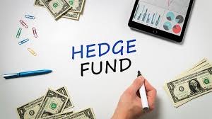 .hedge fund