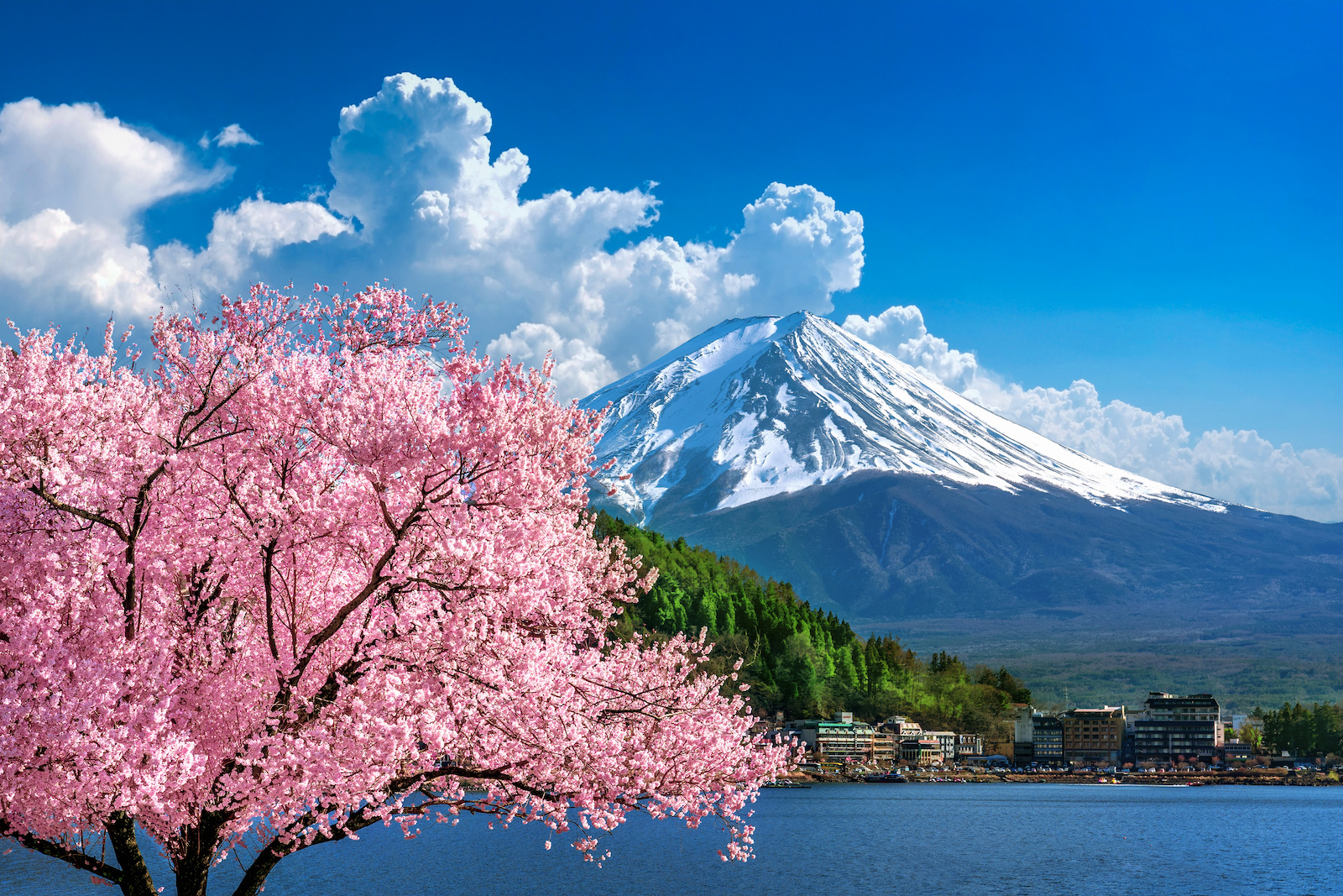 japan landscape