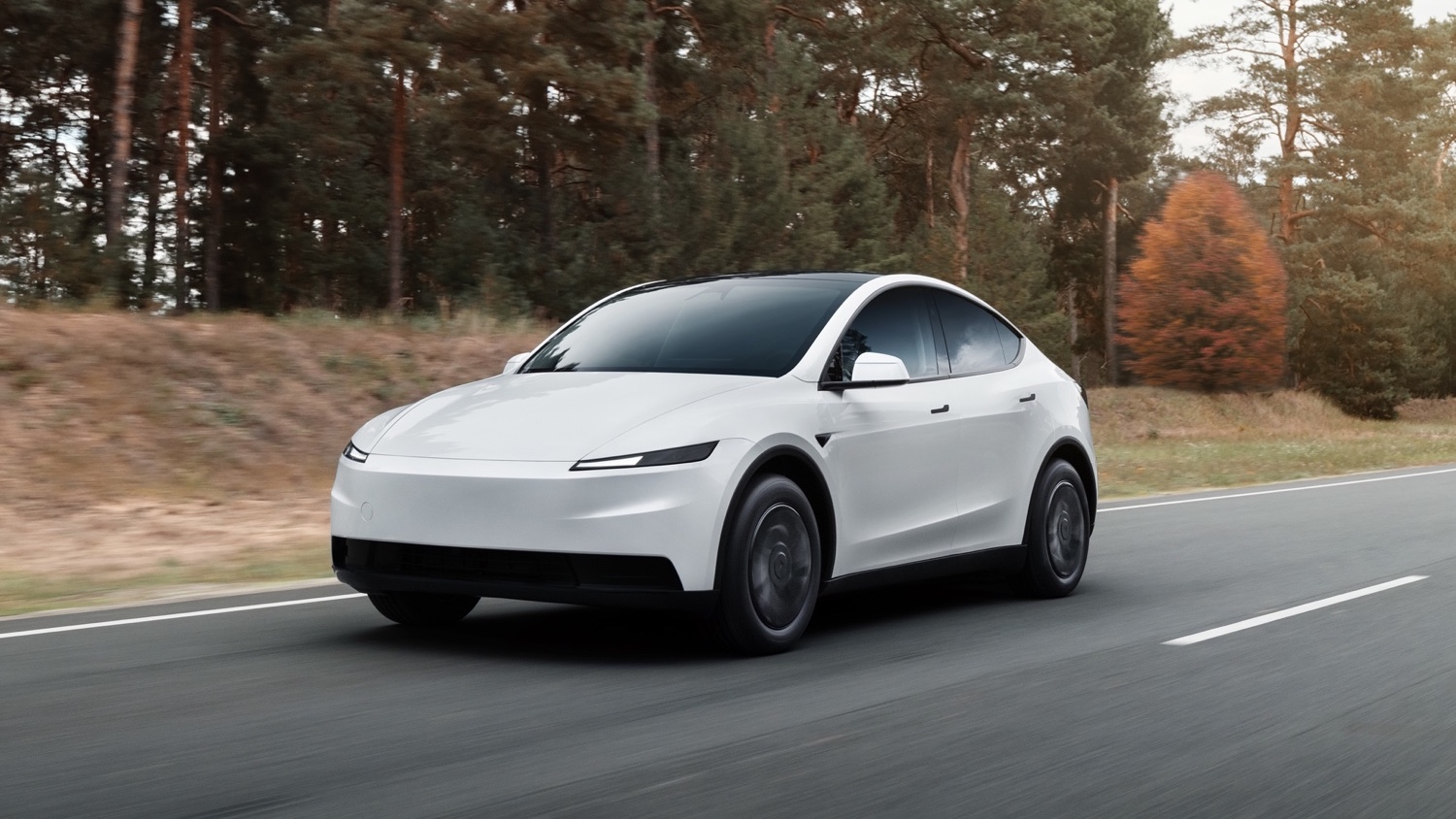 .tesla