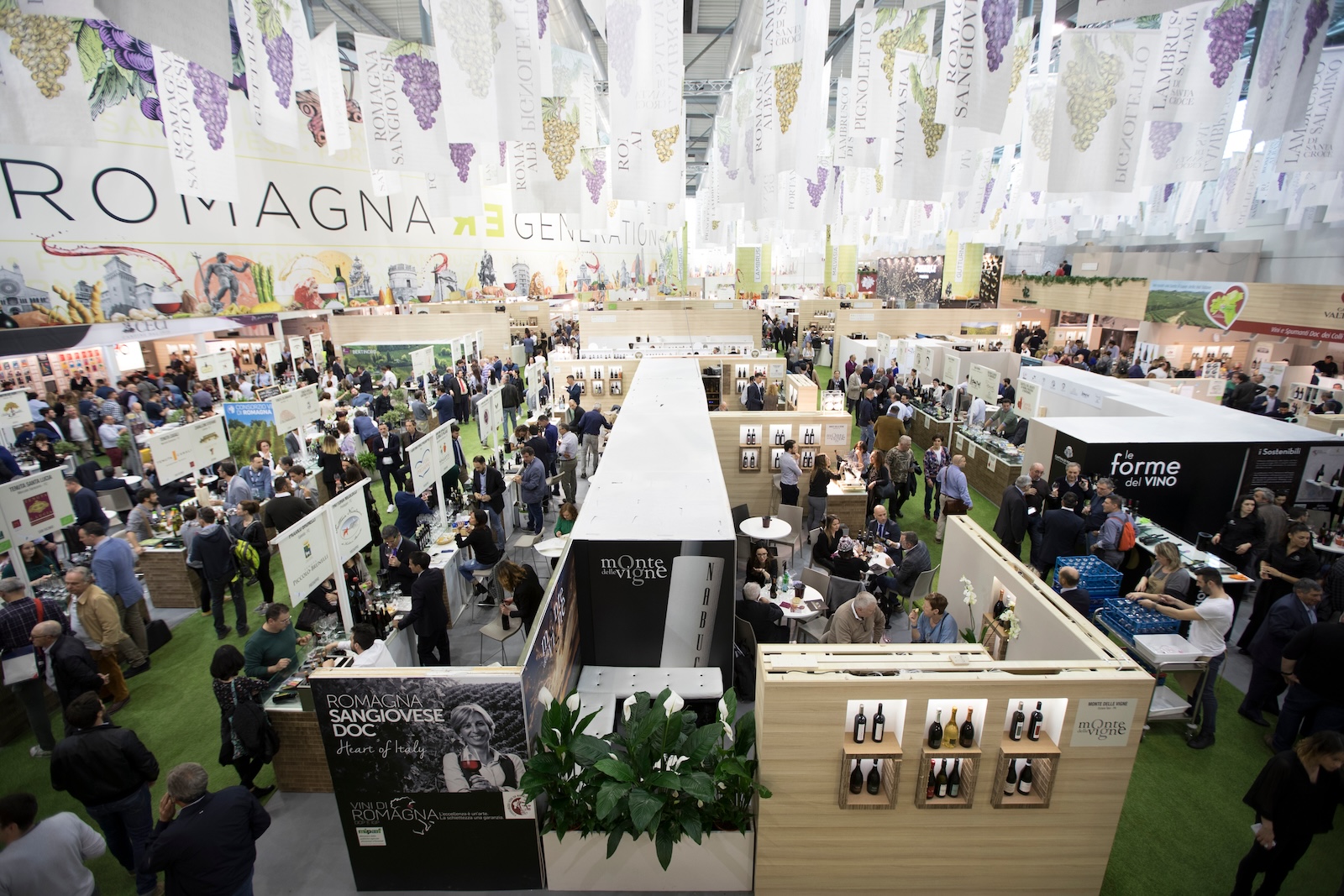 .vinitaly